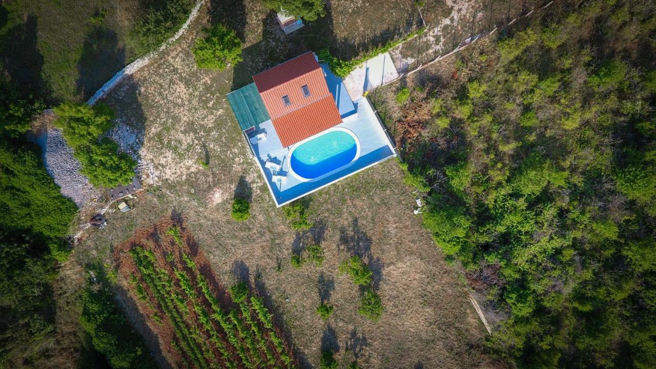 Villa Baras Garden - House With Pool Mirce Екстериор снимка